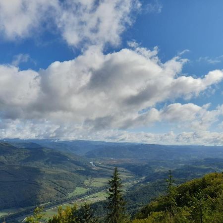 Vila Tisina Tare Bajina Basta Exteriér fotografie