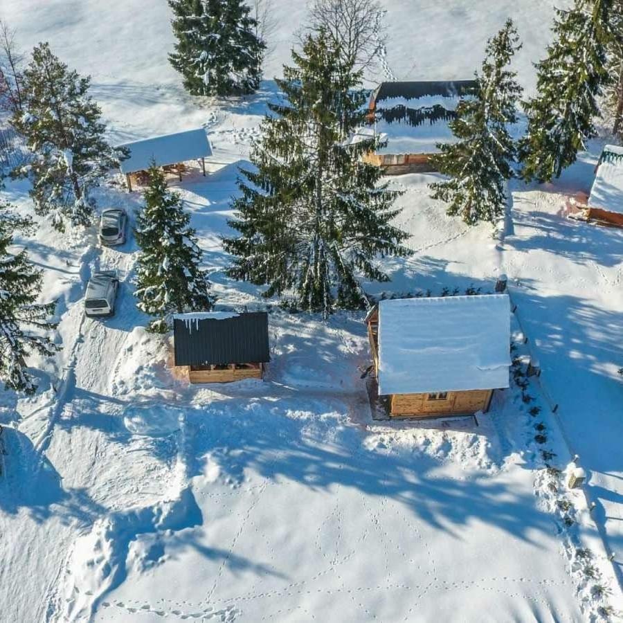Vila Tisina Tare Bajina Basta Exteriér fotografie