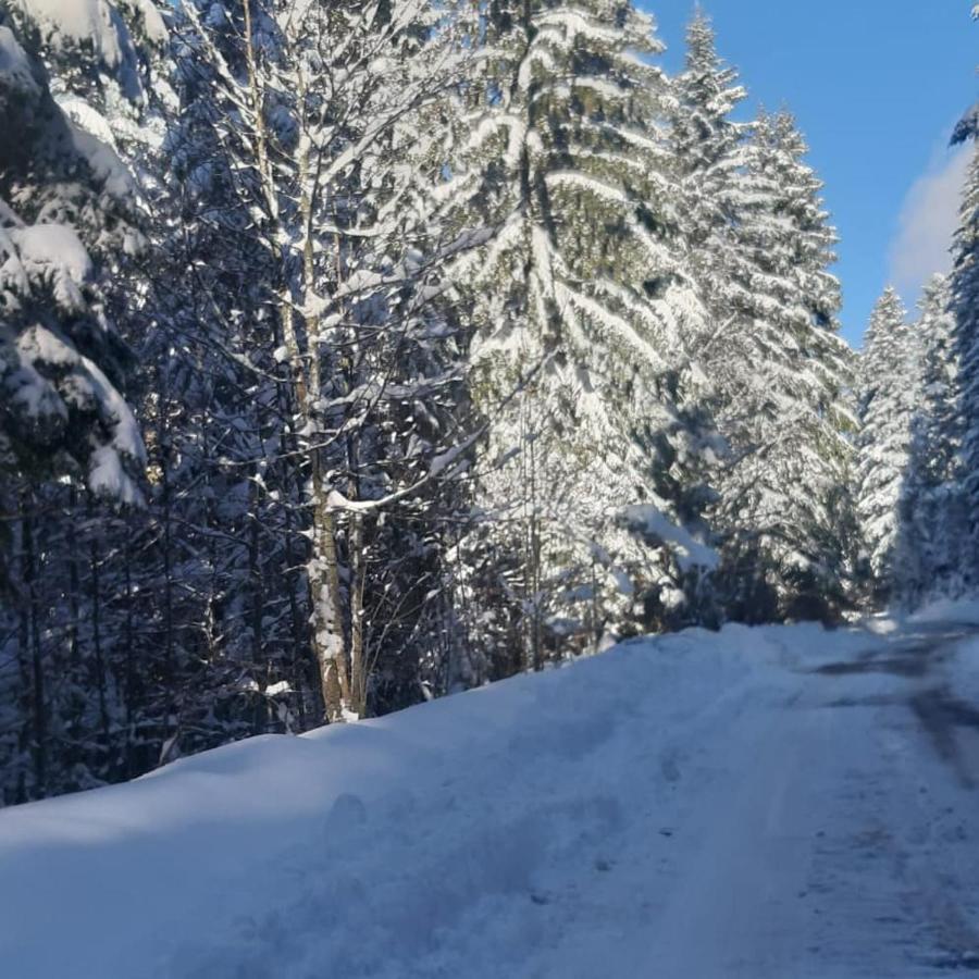 Vila Tisina Tare Bajina Basta Exteriér fotografie