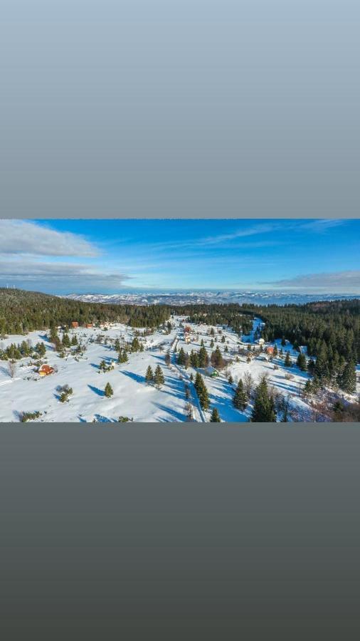 Vila Tisina Tare Bajina Basta Exteriér fotografie
