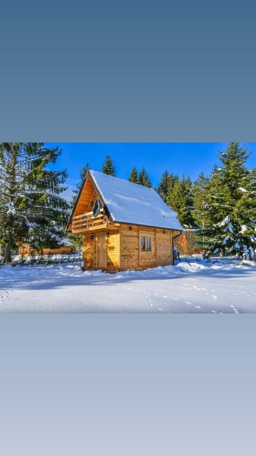 Vila Tisina Tare Bajina Basta Exteriér fotografie