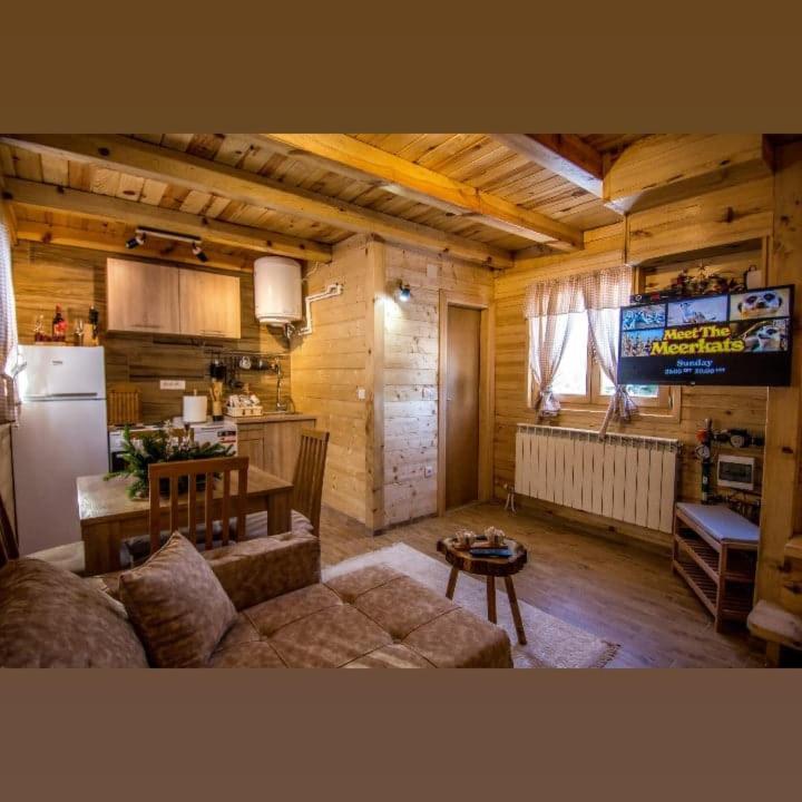 Vila Tisina Tare Bajina Basta Exteriér fotografie