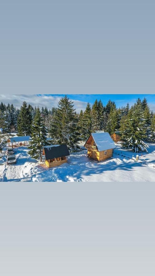Vila Tisina Tare Bajina Basta Exteriér fotografie