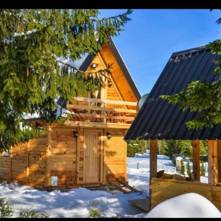 Vila Tisina Tare Bajina Basta Exteriér fotografie
