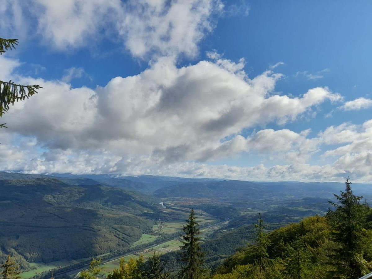 Vila Tisina Tare Bajina Basta Exteriér fotografie
