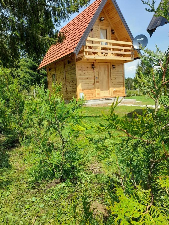 Vila Tisina Tare Bajina Basta Exteriér fotografie