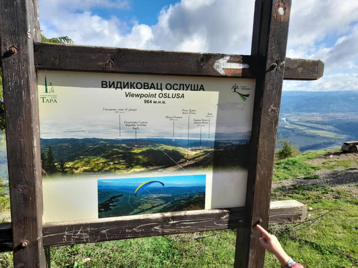 Vila Tisina Tare Bajina Basta Exteriér fotografie
