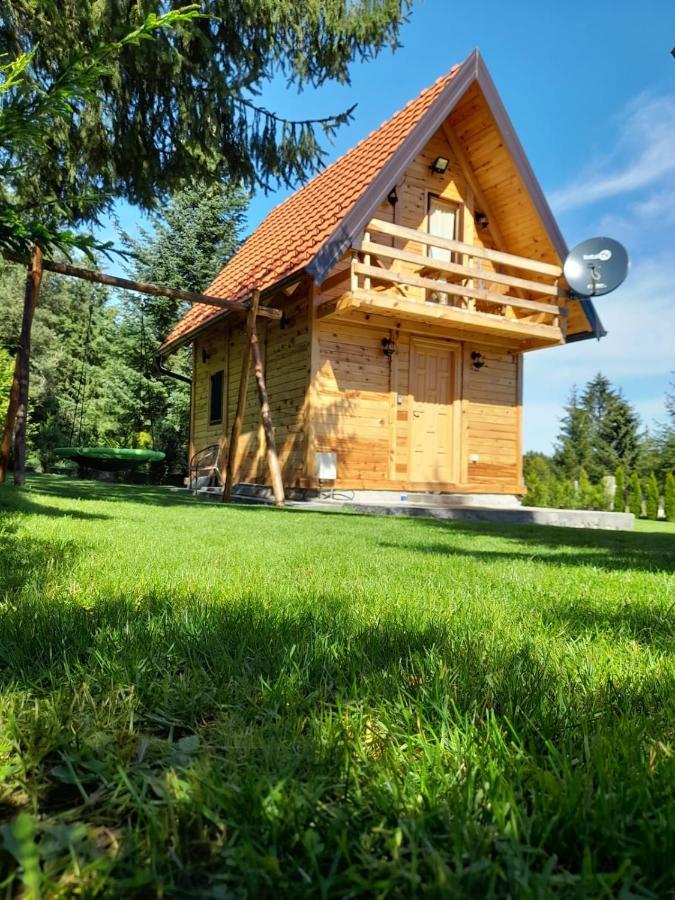 Vila Tisina Tare Bajina Basta Exteriér fotografie